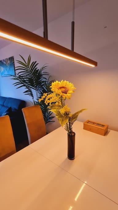 Appartement Pool, Sauna & Schwarzwald-Idylle à Unterkirnach Extérieur photo