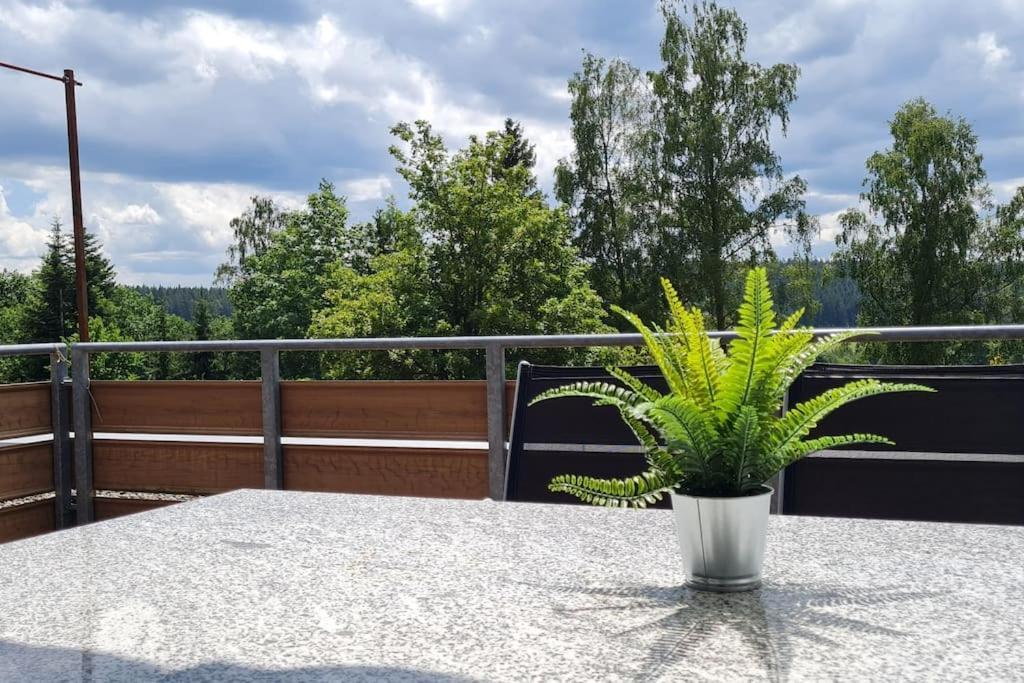 Appartement Pool, Sauna & Schwarzwald-Idylle à Unterkirnach Extérieur photo